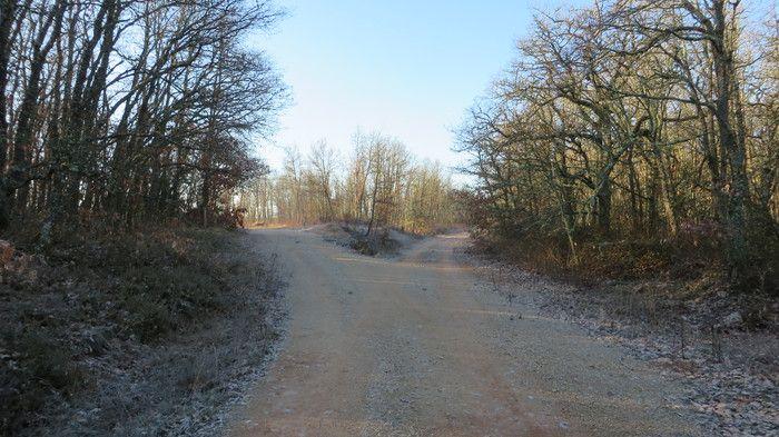 Sendero del monte PRC BU-177